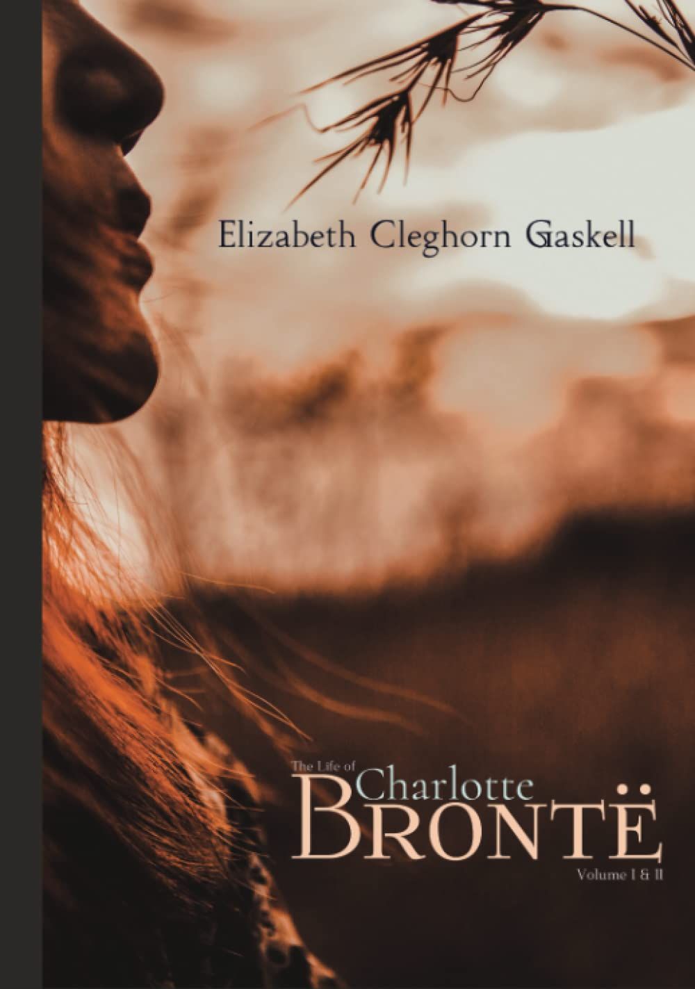 The life of Charlotte Brontë Vol.I & II
