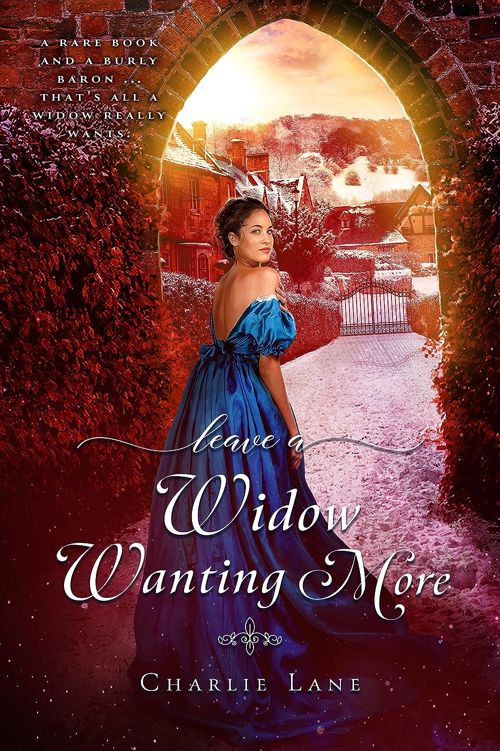 Book 1: Leave a Widow Wanting More