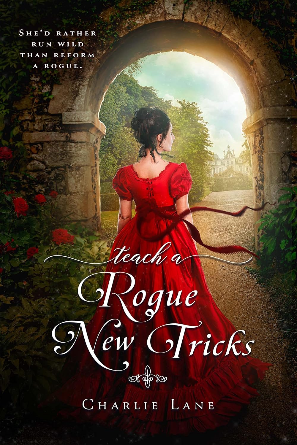 Book 2: Teach a Rogue New Tricks